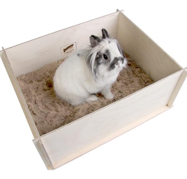 Bunny Interactive Digging Box