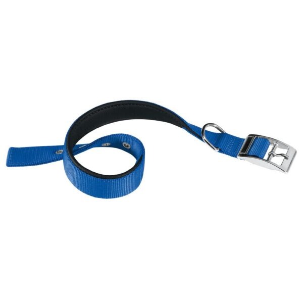 Ferplast Collar Nylon Daytona C 30 55 Azul