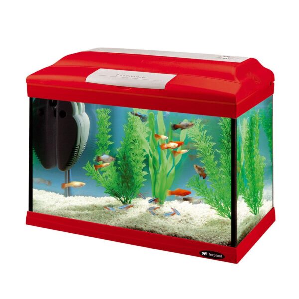 Ferplast Acuario Cayman 40 Colorido 41