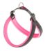 Ferplast Arnes Agila Fluo 6  Pink