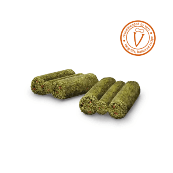 Bunny Cobaya Sueño Joven Alimentación (1)