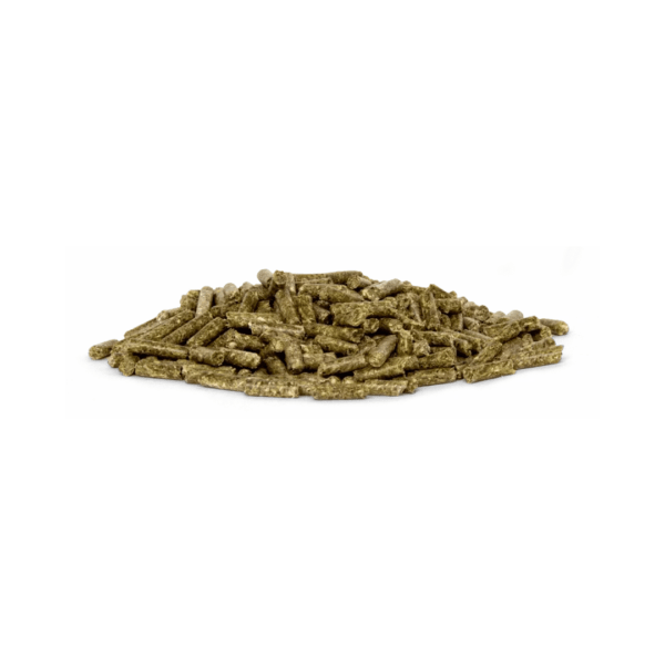 Bunny Govet Energy Dental 1,2 Kg (1)