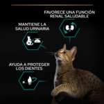 PURINA® PRO PLAN® STERILISED Adult 1+ RENAL PLUS es un alimento completo para gatos adultos esterilizados, rico en salmón, que favorece una función renal saludable.