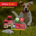 Anima-Strath es un fortificante natural recomendado como apoyo nutricional en: Animales de compañía de edad avanzada Cachorros y gatitos Recuperaciones, convalecencias