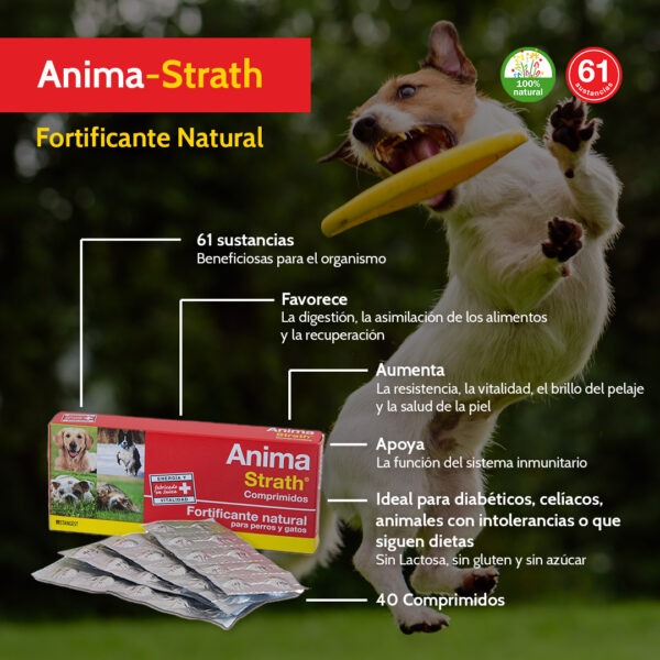 Anima-Strath es un fortificante natural recomendado como apoyo nutricional en: Animales de compañía de edad avanzada Cachorros y gatitos Recuperaciones, convalecencias