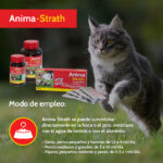 Anima-Strath es un fortificante natural recomendado como apoyo nutricional en: Animales de compañía de edad avanzada Cachorros y gatitos Recuperaciones, convalecencias