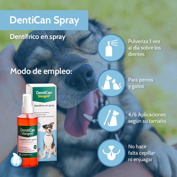 Dentífrico con la fórmula más innovadora y cómoda para la higiene bucodental de las mascotas. Su triple acción elimina el mal aliento, controla el sarro y combate la placa bacteriana de perros y gatos. A base de fluoruro de sodio y digluconato de clorhexidina.