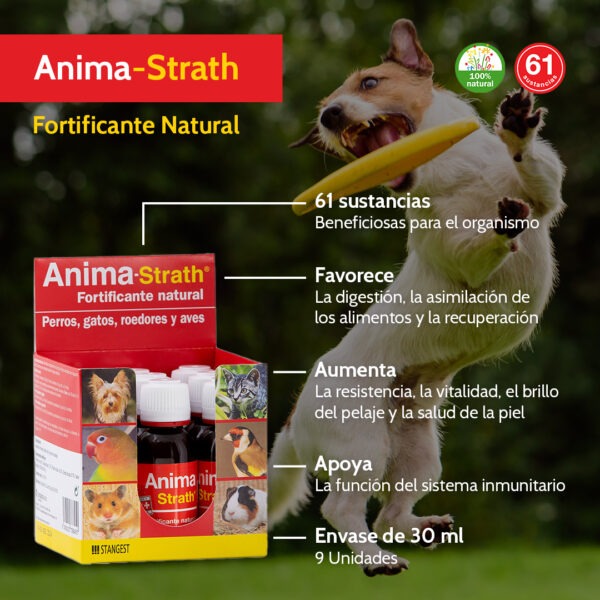 Fortificante y reconstituyente 100% natural para tu mascota.