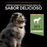 PURINA® PRO PLAN® Puppy Medium Sensitive Digestion rico en Cordero es un alimento completo para cachorros de razas medianas con una digestión sensible. También es adecuado para perras gestantes / lactantes. Fácilmente digestible y demostrado que mejora del equilibrio de la microflora intestinal.