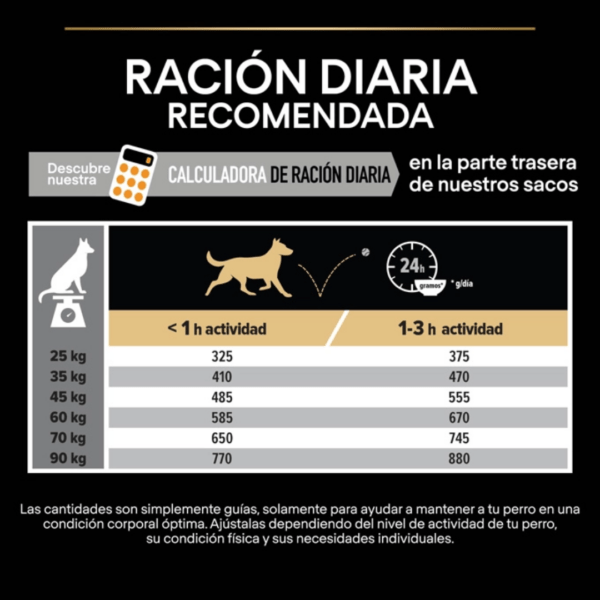 Pro Plan Perro Grande Adulto Robusto Nutrición Diaria (2)