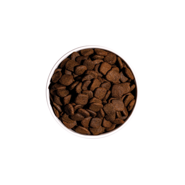 Ownat Adulto Hipoalergénico Sin Cereales Salmón Pienso Perros