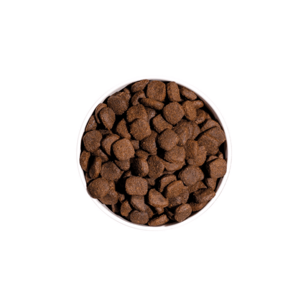 Ownat Prime Sin Cereales Perro Adulto Pollo Pavo