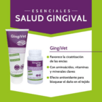 Gingivet Salud dental Stangest