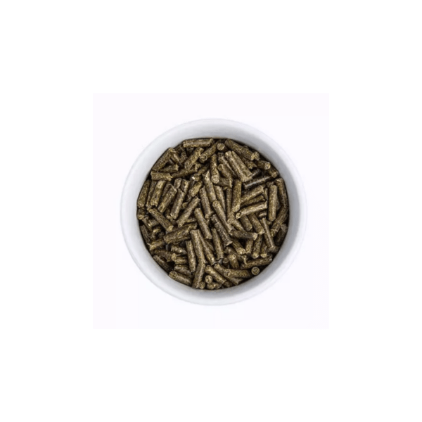 Bunny Health ImmunPower Suplemento Inmunológico Conejos (1)