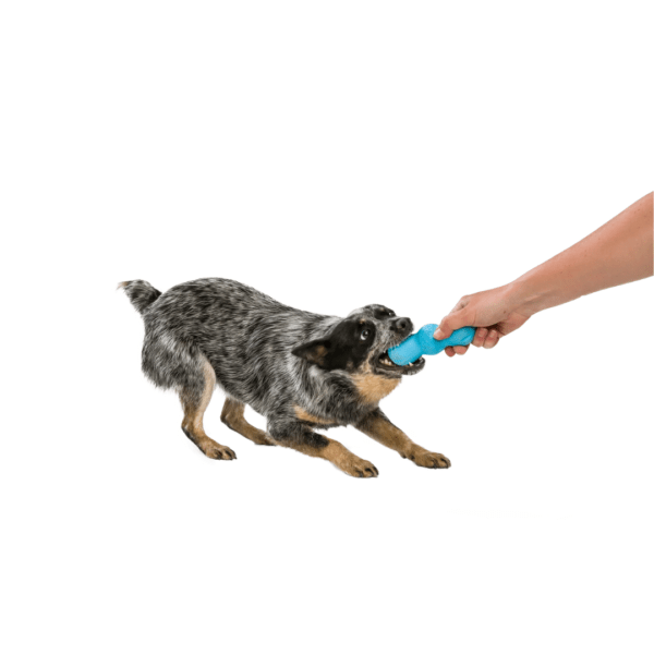 WEST PAW JUGUETE ZOGOFLEX RUMPUS M 16CM AZUL TURQUESA