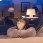 Suave cama de peluche para perros y gatos