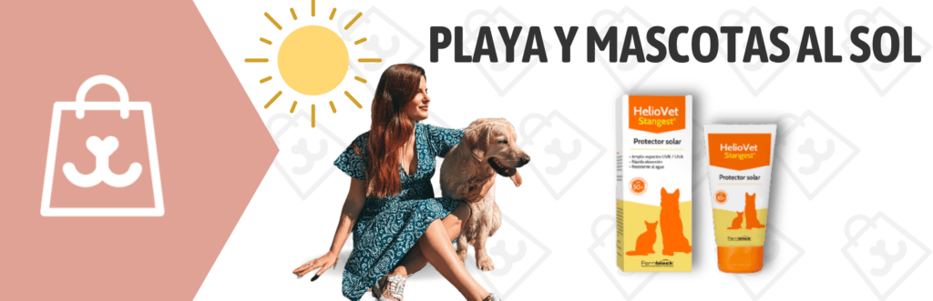 Mascotas y playa, protección solar Heliovet para perros y gatos