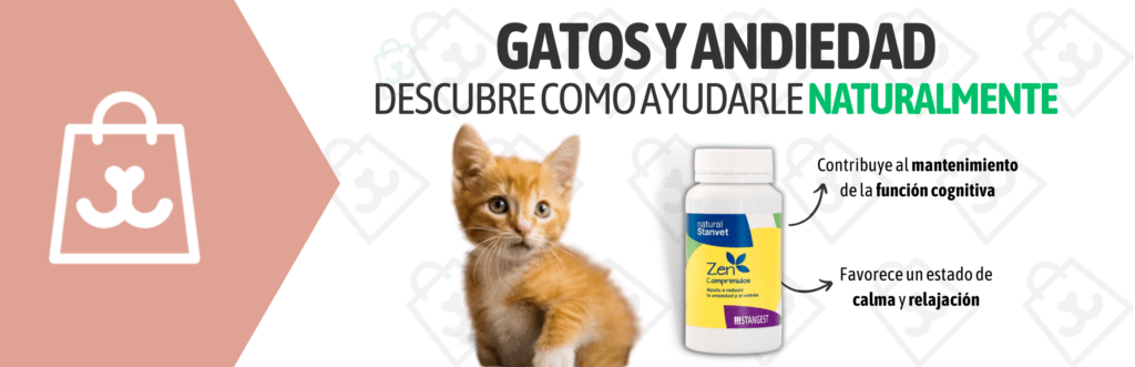 Reduce el estres en gatos de forma natural con stanvetZen