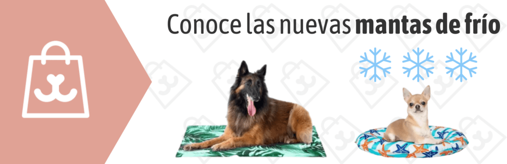 Mantas de frio para perros