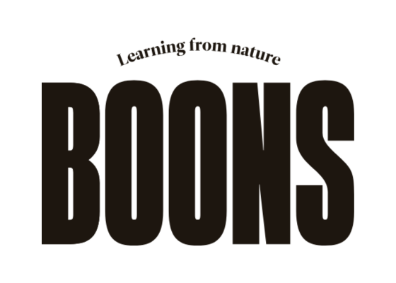 Boons