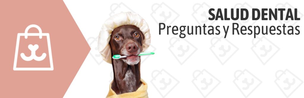 Salud Dental-Stangest