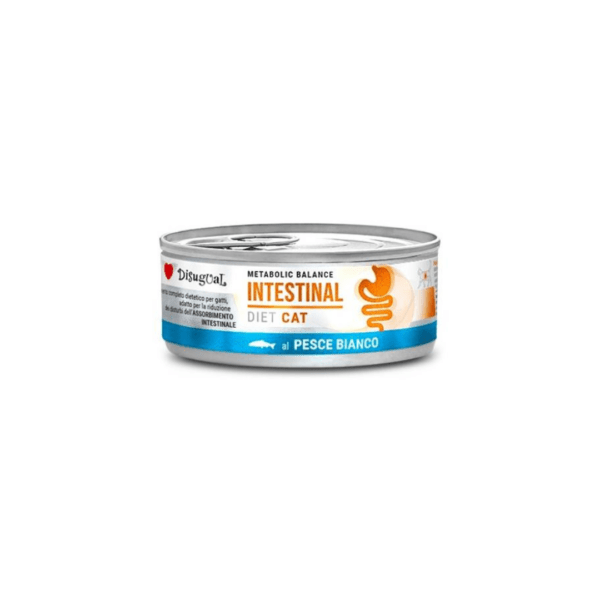 Disugual Latas Intestinal De Pescado Blanco Para Gatos Pack Ahorro 12×85 Gr